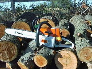 Как сделать дорожку из спилов дерева